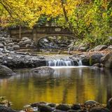 Lithia Park