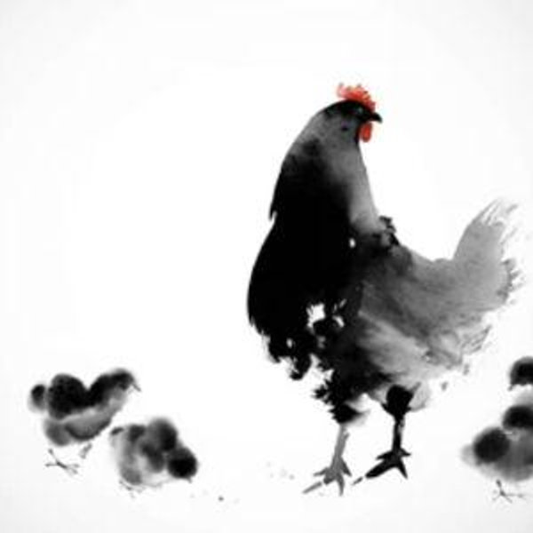 Chicken Coop and Garden Fund