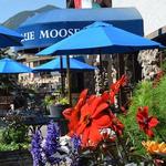 Blue Moose Pizza