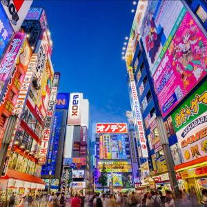 Honeymoon Fund to Japan!