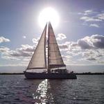 Fun Cat Sailing