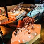 Houston Museum of Natural Science