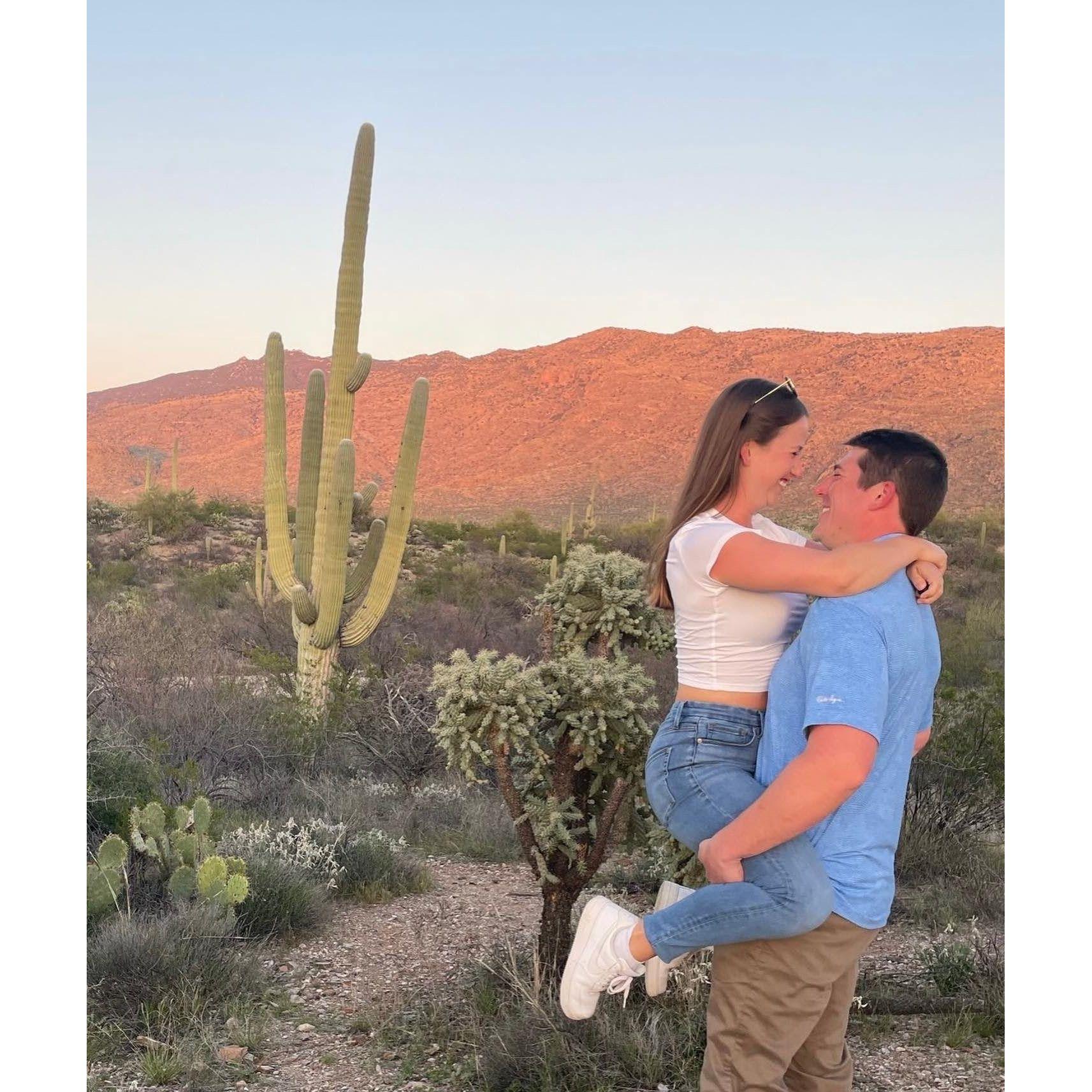 Sagauro National Park in Arizona