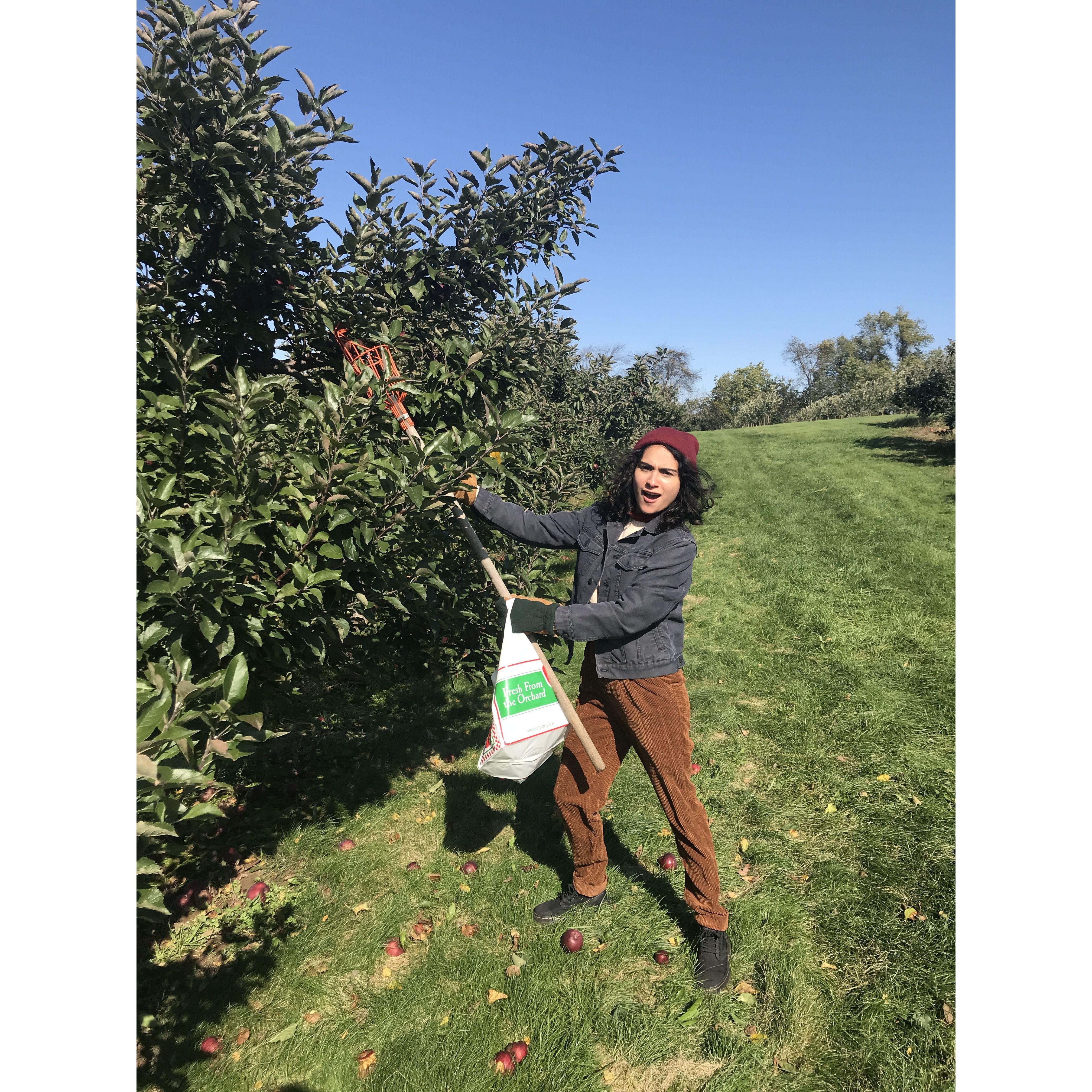 When Vero fell in love with apple picking