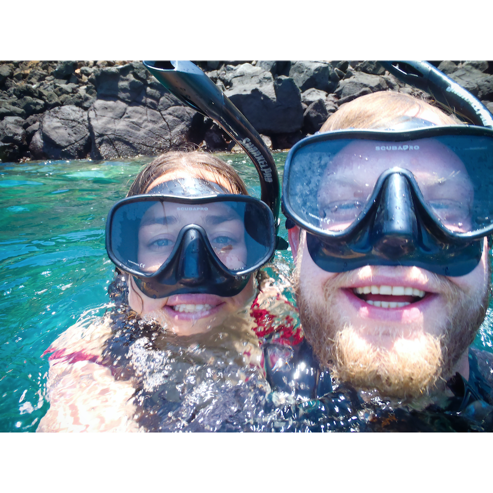 Snorkeling with sharks