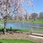 Dawes Arboretum