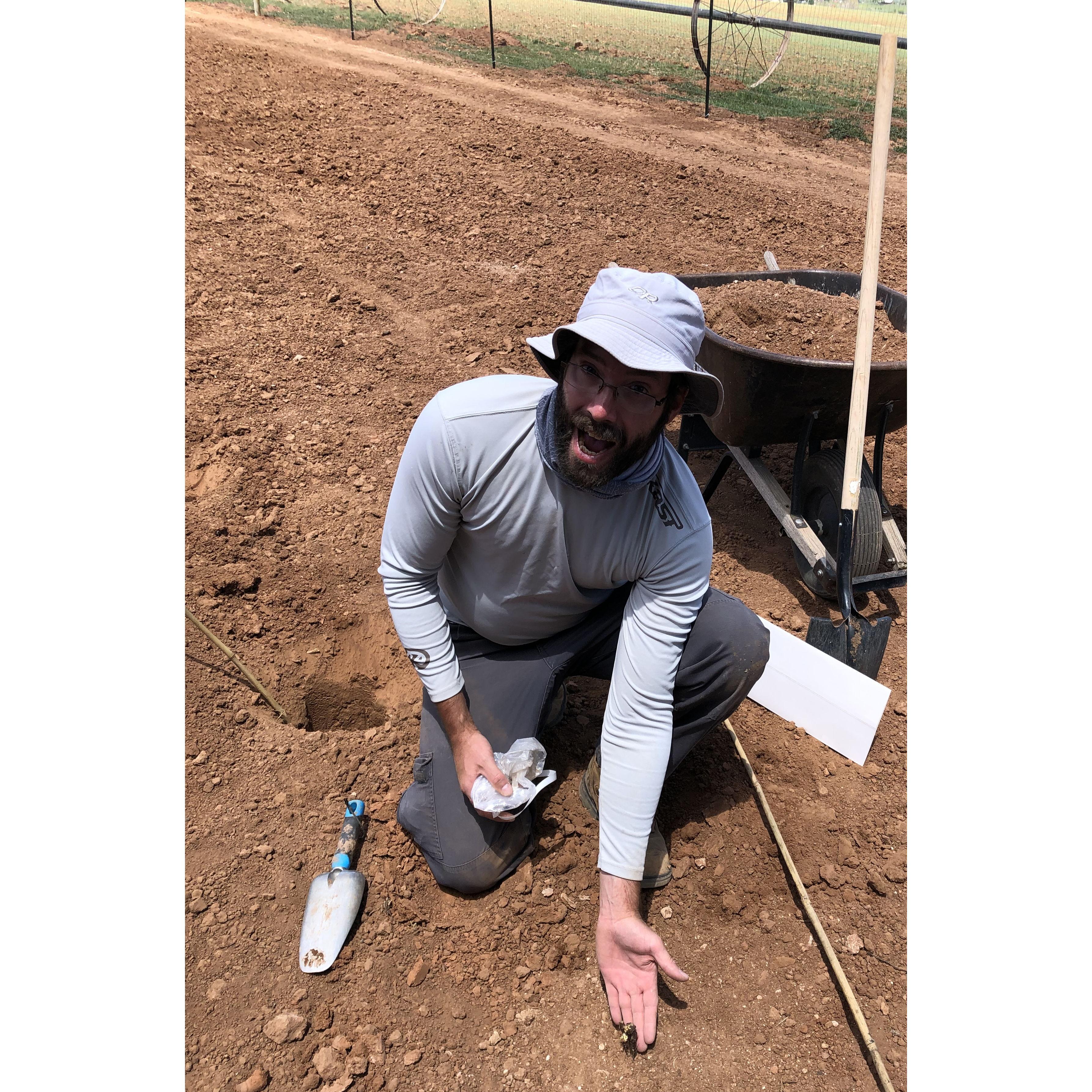 Casey's first vine in the ground for the new SilverView Vineyard!