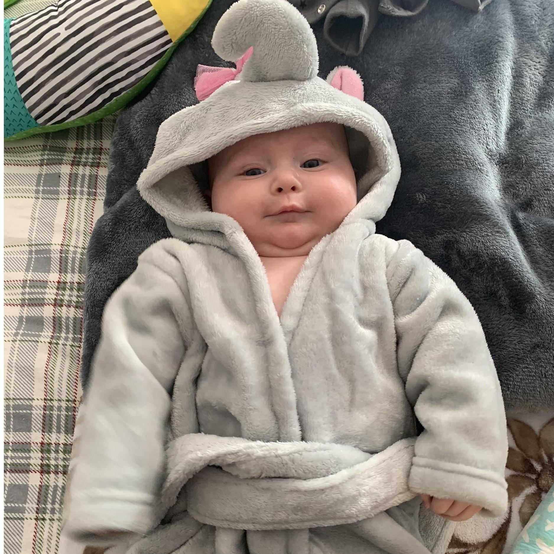 Cutest elephant around (chubbiest too)