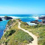 Mendocino Headlands State Park