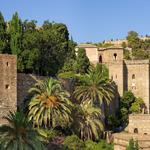 Activity - Alcazaba Castle Visit