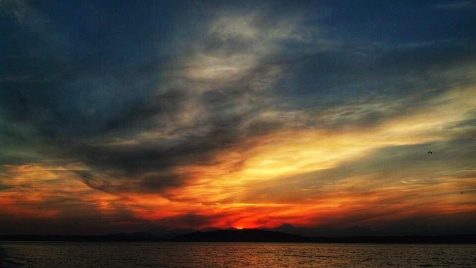 The Wedding Website of Lee Kear and Lori McCallister