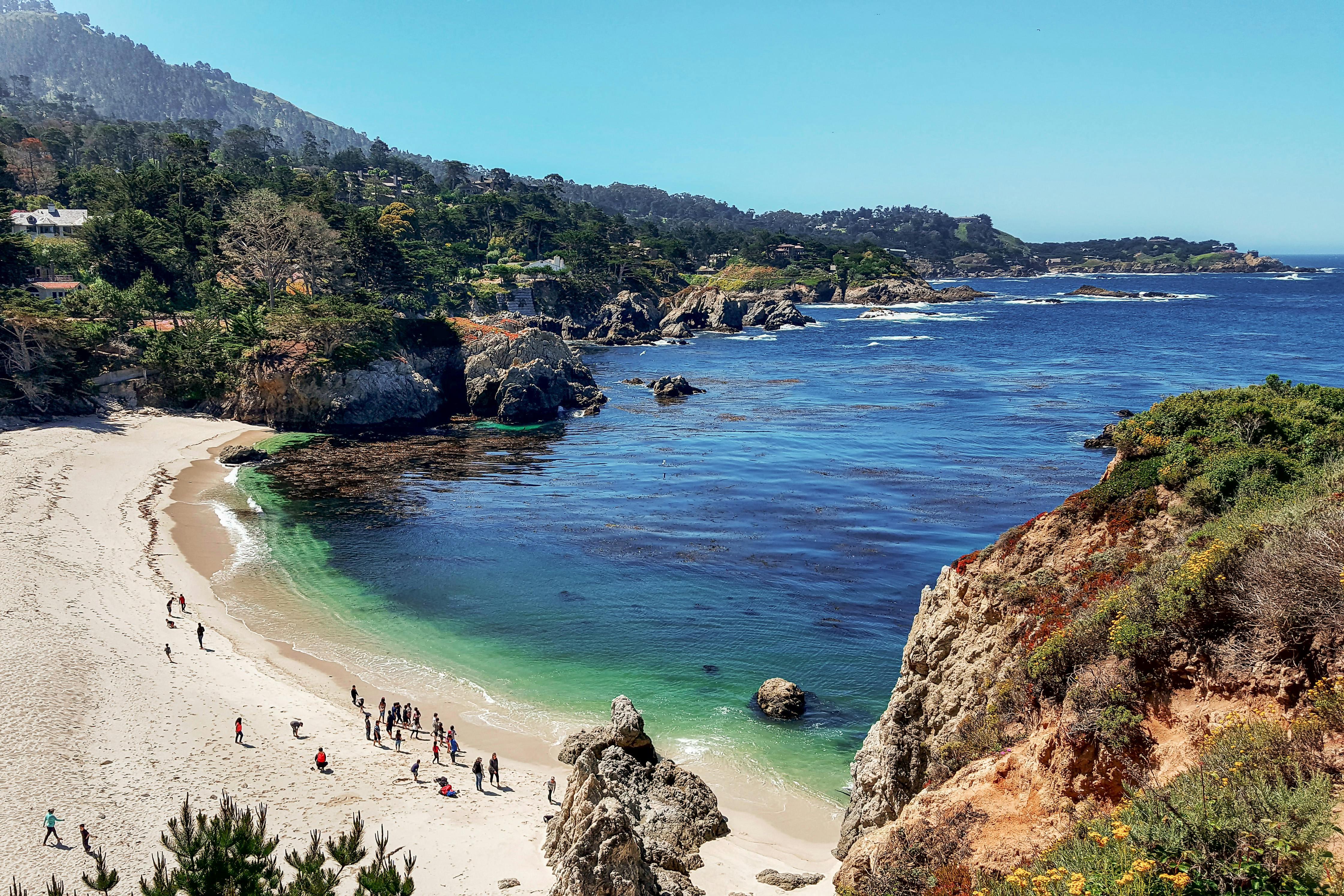 The Wedding Website of Jasen Carver and Julia Menjivar