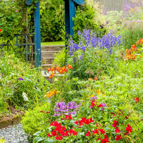 Dream Garden Fund