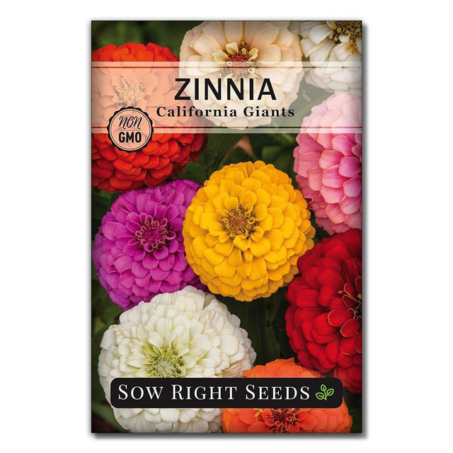 Sow Right Seeds - California Giants Mix Zinnia Seeds for Planting - Non-GMO Heirloom Packet to Grow Your Flower Garden - Attract Bees and Butterflies - Great to Cut and Come Again - Summer Annual (1)