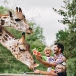 Gulf Breeze Zoo