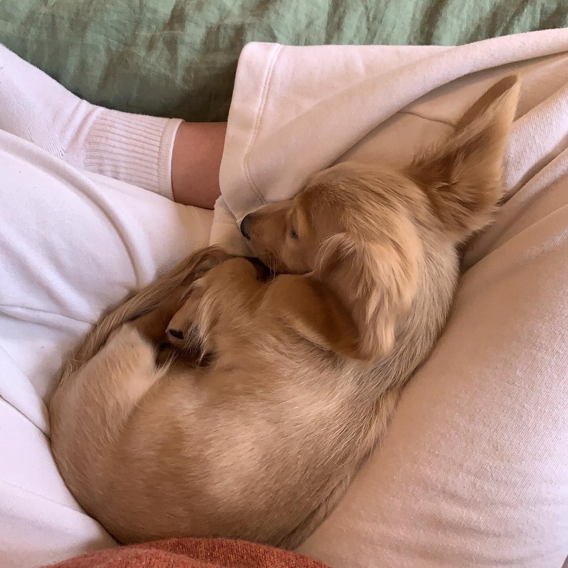 Louie enters our world & hearts