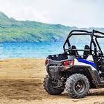 ATVs and Dune Buggies