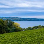 Seneca Lake Wine Trail