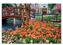 Bellagio Conservatory & Botanical Gardens