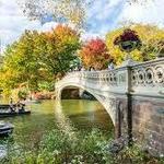 Hang in Central Park