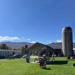 North Meadow Farm