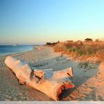 Robert Moses State Park Field 5