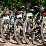 Reedy Rides - Bike Rentals