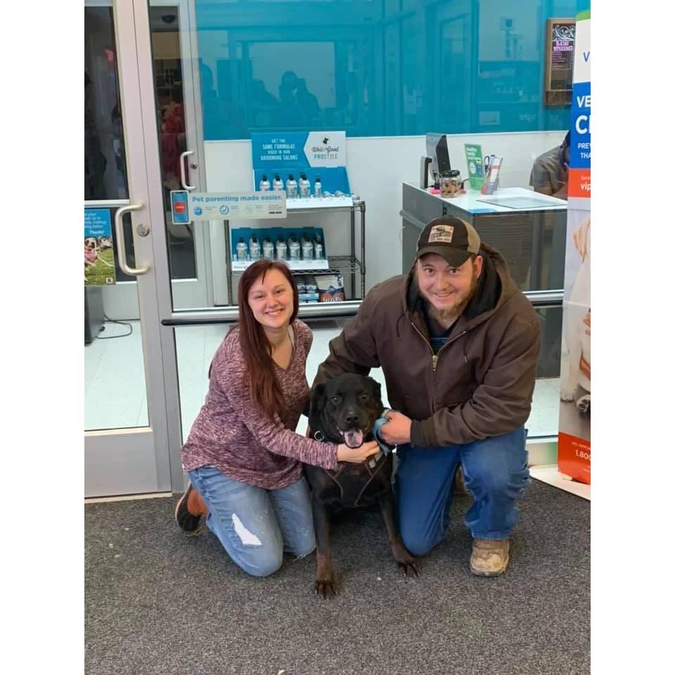 "Memphis"'s adoption day