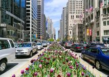 Magnificant Mile