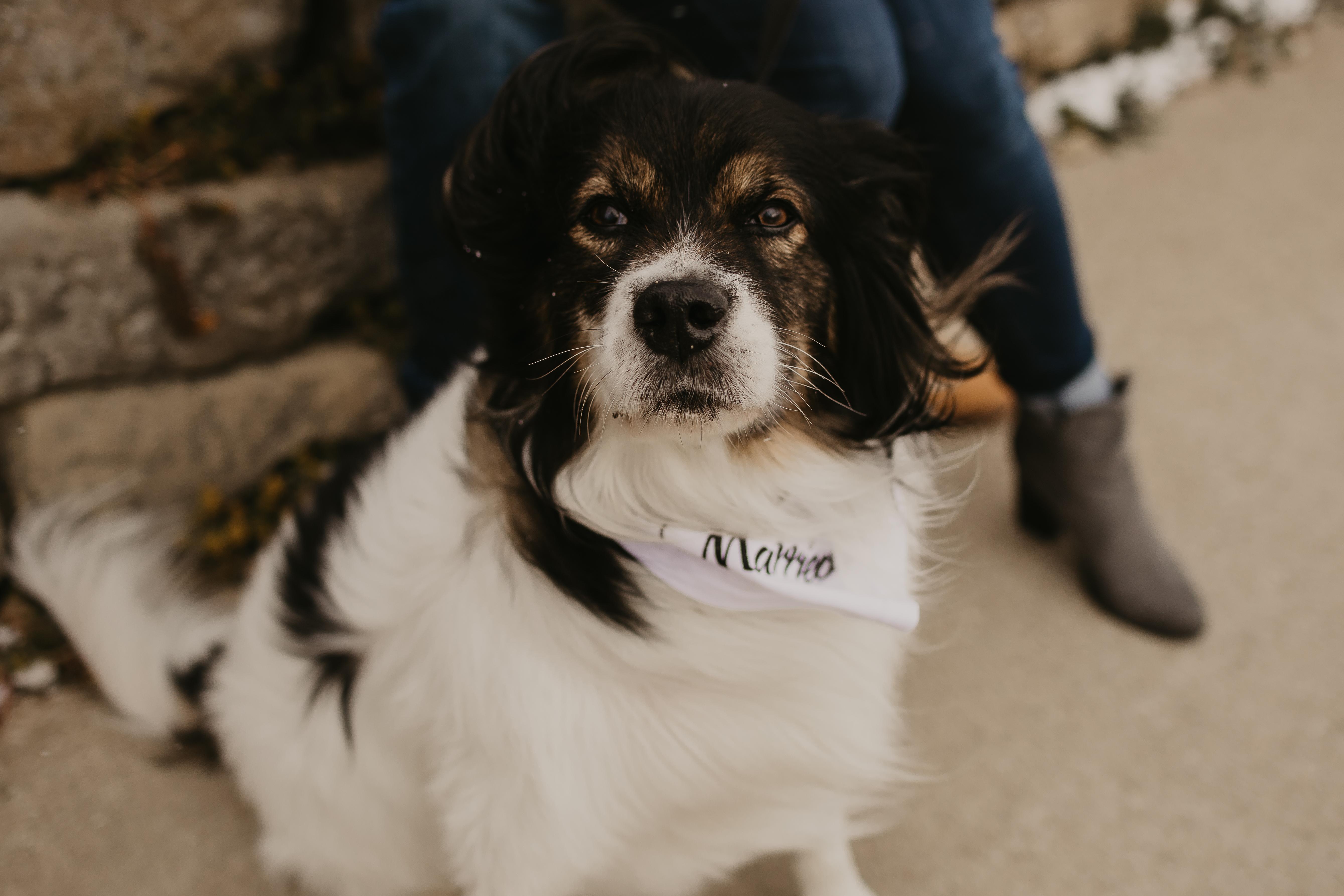 The Wedding Website of Alexandria Aquino and Kyle Walsh