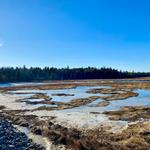 Acadia National Park