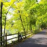 Farmington Canal Heritage Trail