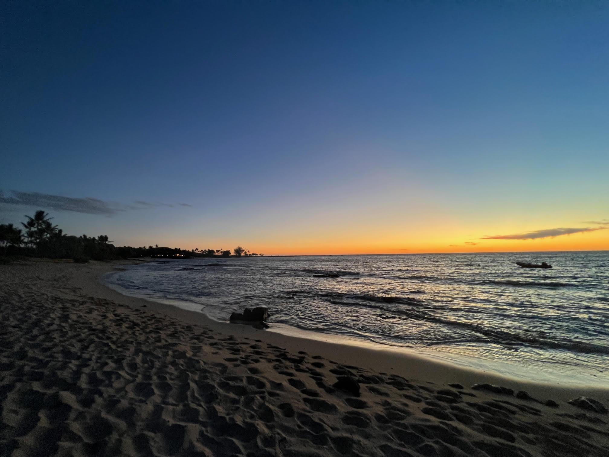 The Wedding Website of Charlotte Goodfellow and Del Fernandez