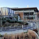 New Belgium Brewing Company