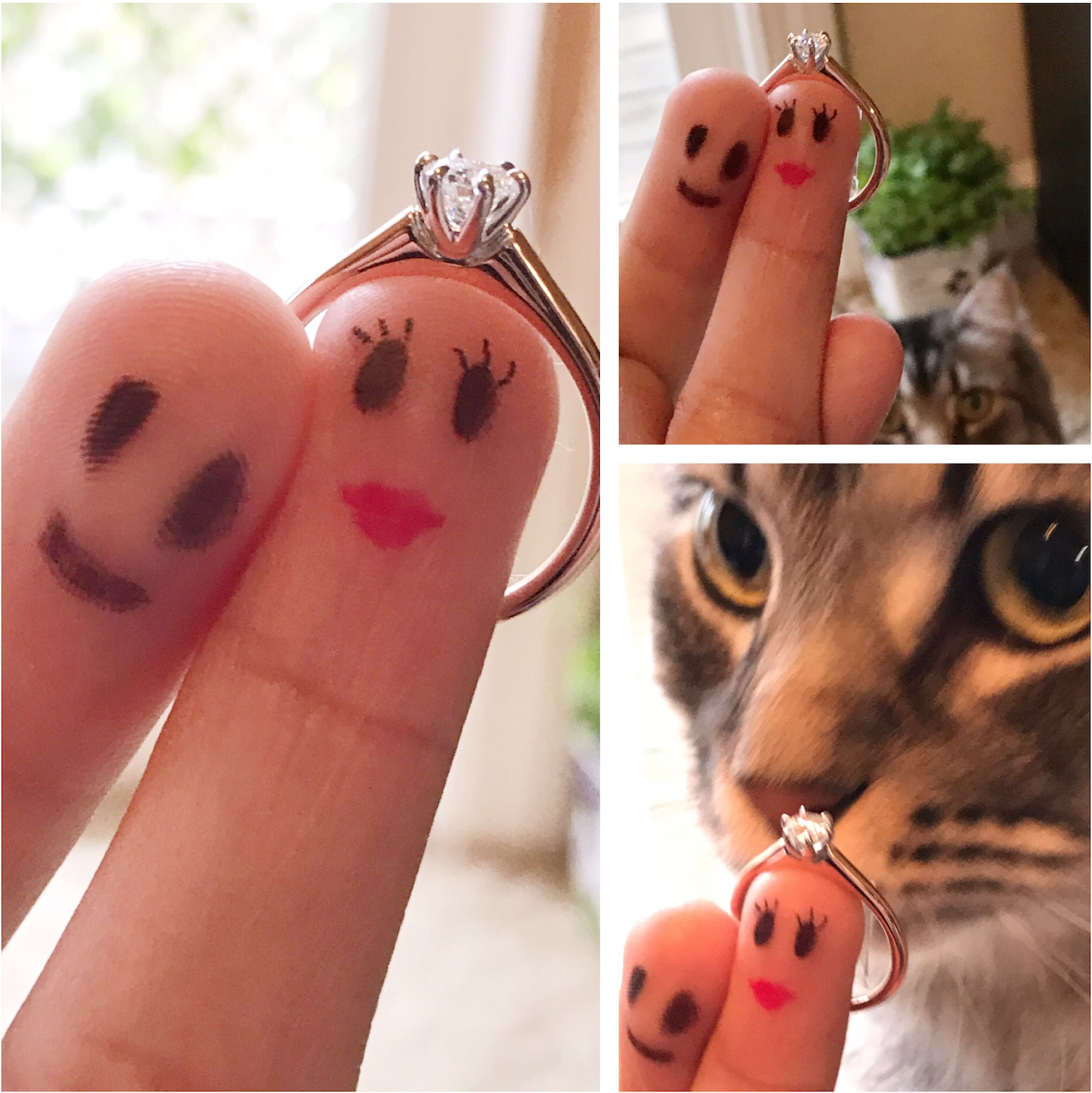 The Wedding Website of Anthony Hooper and Tina Pham