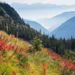 Jewel Basin