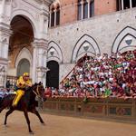 Markets and Festivals
