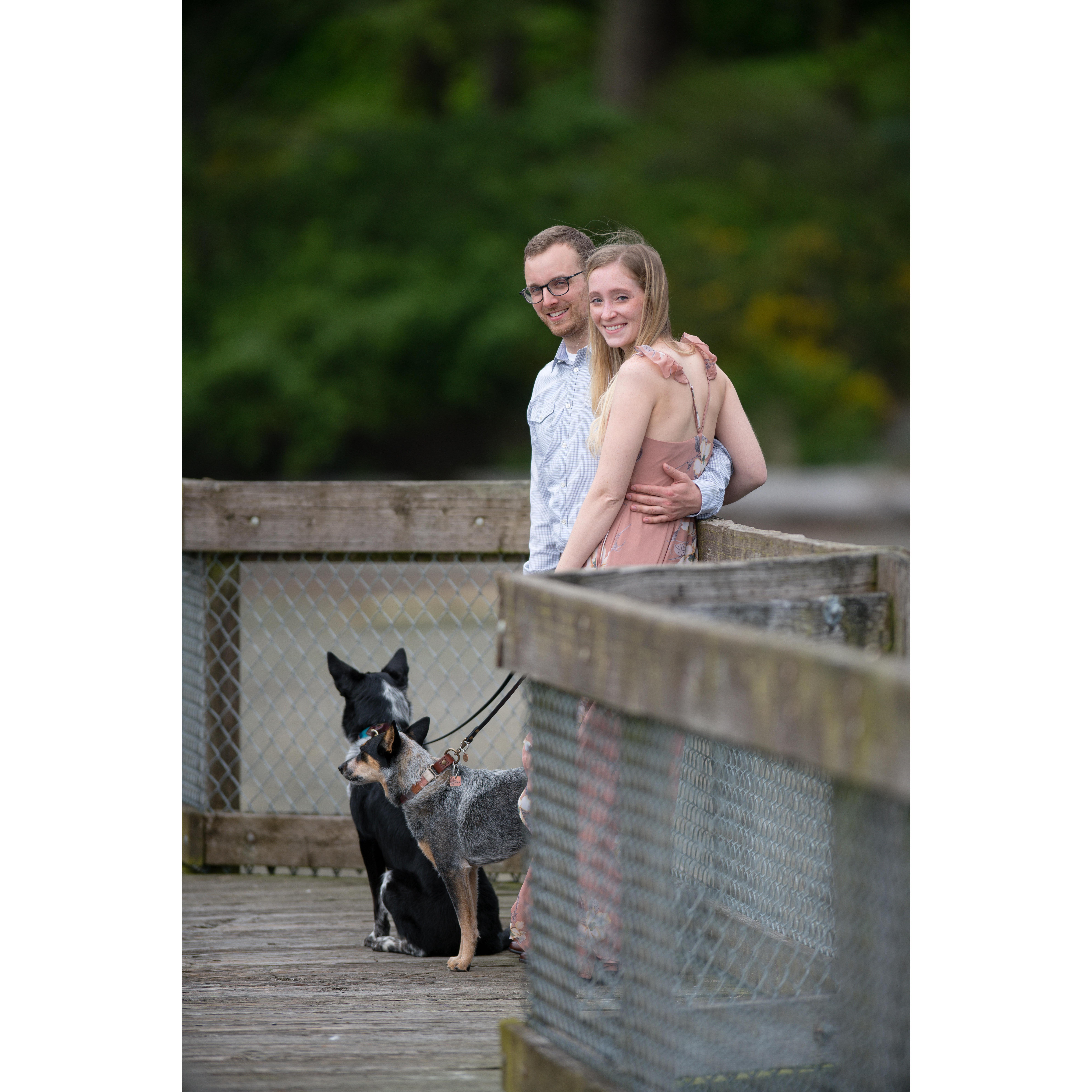 Engagement photos