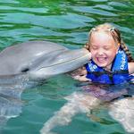 Delphinus Playa Mujeres