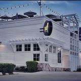 The Stray Dog Bar and Grill