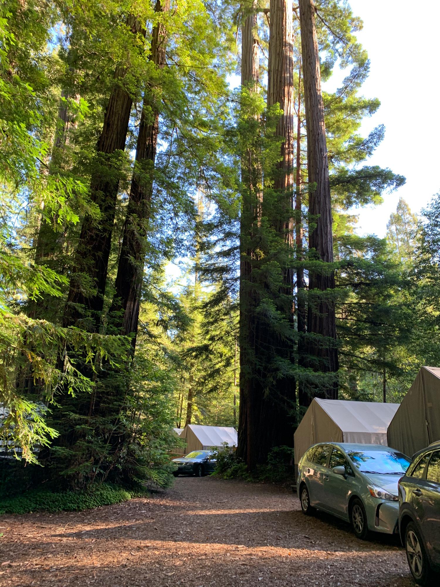 Cazadero Music Camp