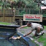 St. Augustine Alligator Farm Zoological Park