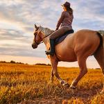 Horse Back Riding