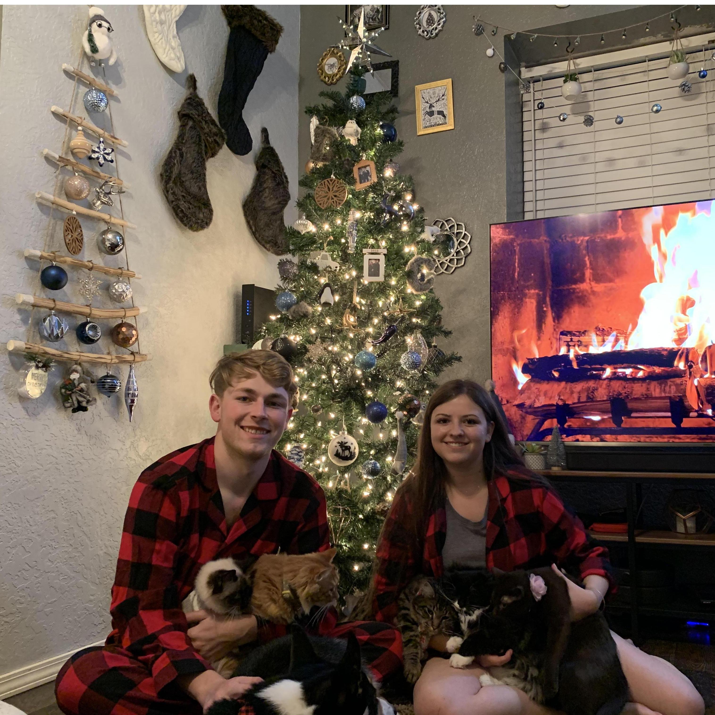 Our attempted Christmas family photo with all of our pets in December of 2019