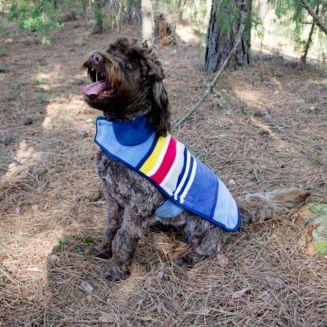 Pendleton Yosemite National Park Dog Coat