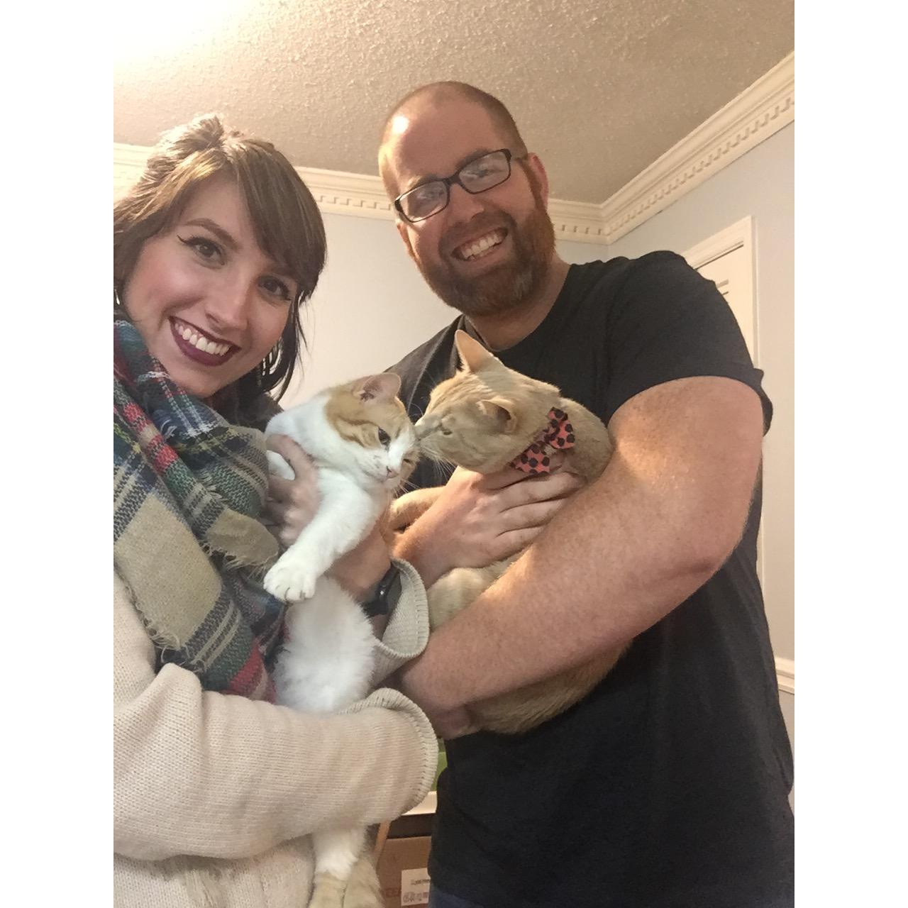2017! Our first full family photo (cats included)!