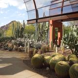Desert Botanical Garden