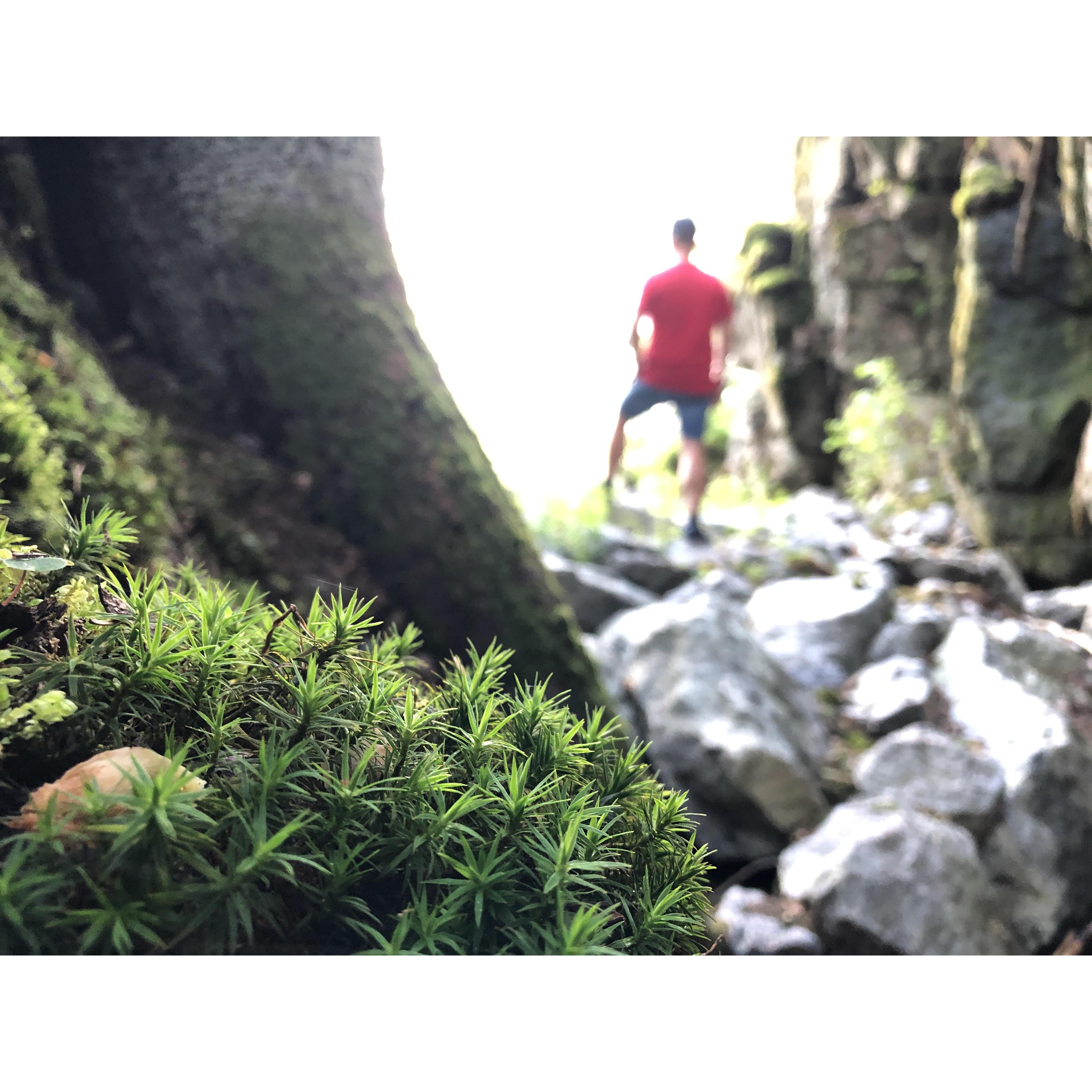 We love being so close to the forest at our home in Noway. It makes it easy to get outside for evening hikes. I also love the flora and fauna of the Norwegian forest.