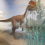 Dinosaur State Park