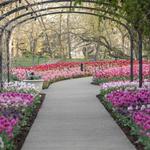 Cheekwood Estate and Gardens